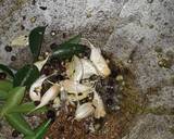 Pepper garlic rasam recipe step 3 photo
