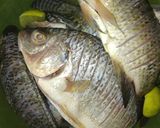 Foto langkah ke 1 dari resep Pepes ikan nila.