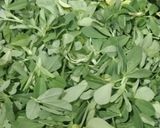 A picture of step 1 of Methi paratha.