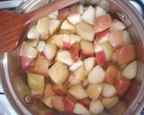 Gyors nyári gyümölcsleves fagyasztott gyümölcsből recept fázis 1 fotója