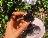 Foto del paso 4 de la receta: Bolitas de oreo