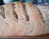 Foto del paso 6 de la receta: Pan Integral sin amasado ni materia grasa