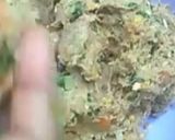 A picture of step 2 of Kachey qeemey ke kebab.