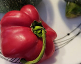 Foto del paso 3 de la receta: Calabacín relleno gratinado