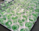 Foto langkah ke 4 dari resep Puding kelapa melon cup.