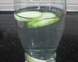 Coriander and Cucumber Juice recipe step 2 photo
