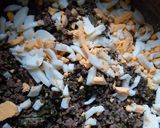 Foto del paso 8 de la receta: Pastel de carne y verduras
