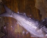 Foto del paso 1 de la receta: Lenguado a la molinera