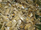 Teri Telur Lombok