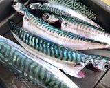 Hình bước làm 1 của món Canh Đầu Cá Mackerel Nấu Cà Chua & Ớt Chuông