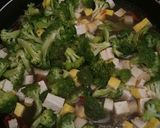 Foto langkah ke 3 dari resep Tumis brokoli tahu simple.