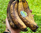 Foto langkah ke 1 dari resep Banana cake super moist.