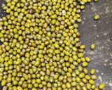 A picture of step 1 of Green moong- jaggery ladoos (saboot moong- gur ke laddoo).