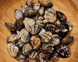 Foto del paso 1 de la receta: Almejas salteadas
