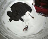Foto langkah ke 2 dari resep Whipped Creme Coklat.