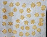 Foto del paso 4 de la receta: Pastisetas