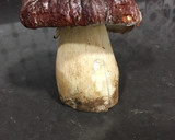 Foto del paso 1 de la receta: Risotto de boletus