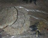 A picture of step 7 of Grilled Kibbeh.