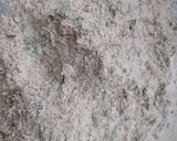 A picture of step 1 of Multi Millets Rotla.
