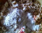 চিকেন কিমা পকোড়া (Chicken keema pakoda recipe in Bengali) রেসিপির ধাপ 2 ছবি