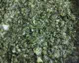 Foto del paso 3 de la receta: Tarta de choclo blanco cremoso y espinaca