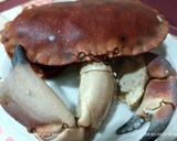 Foto del paso 1 de la receta: Ensalada de buey de mar