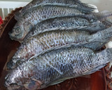 Foto del paso 1 de la receta: Mojarra frita al ajo