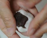 A picture of step 7 of Kinoko: Mushroom - Jouyo Manju (Wagashi).