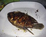 Foto langkah ke 5 dari resep Gurami Bakar Madu.