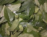 Foto langkah ke 2 dari resep Es Cincau Jelly.