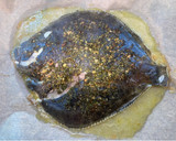 Foto del paso 5 de la receta: Rodaballo al horno