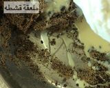 صورة لخطوة 6 من وصفة حلى العيد