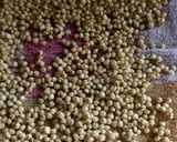 A picture of step 7 of Whole Jowar Upma in Pressure cooker.