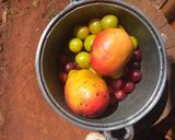 A picture of step 1 of Red plum & Mango Jam# Author Marathon#.