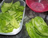 Foto del paso 1 de la receta: Wraps (sin harina)