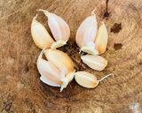 Hình bước làm 2 của món Cải bó xôi xào tỏi trong 1 nốt nhạc