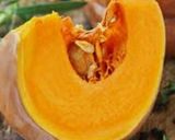 Une image de l'étape 1 de Velouté potimarron châtaignes 🌰🥄. Automne🥬R.