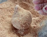 Foto del paso 4 de la receta: Coxinha de pollo para principiantes