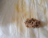 Foto del paso 5 de la receta: Briouats de cordero