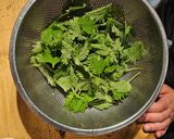 Foto del paso 1 de la receta: Pesto de menta y ortiga