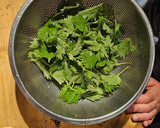 Foto del paso 1 de la receta: Pesto de menta y ortiga