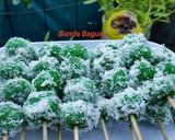 Foto langkah ke 5 dari resep Sate Singkong Pandan.