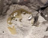 Foto del paso 1 de la receta: Pan tortuga exprés sin gluten sin lácteos
