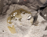 Foto del paso 1 de la receta: Pan tortuga exprés sin gluten sin lácteos