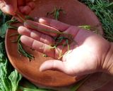 Foto del paso 7 de la receta: Guías espesadas