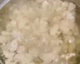 寵物鮮食🍽四神湯的食譜步驟2照片