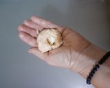 Foto del passaggio 2 della ricetta Arancini del riciclo