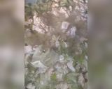 صورة لخطوة 2 من وصفة فيتوتشيني عطريقة امي 🤭🌹