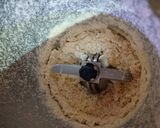 A picture of step 2 of Makhana Kheer.