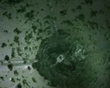 Foto del paso 4 de la receta: Salsa pesto